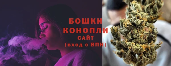 шишки Белокуриха