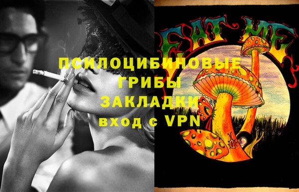 шишки Белокуриха