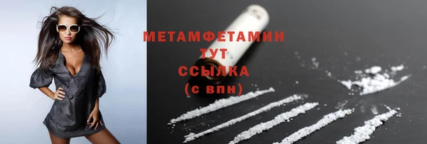 шишки Белокуриха