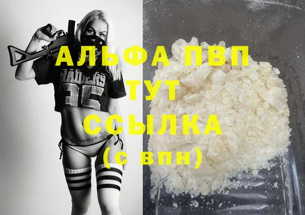 шишки Белокуриха