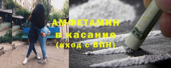 шишки Белокуриха