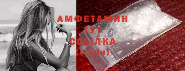 шишки Белокуриха