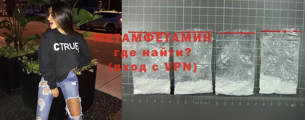 шишки Белокуриха