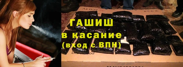 шишки Белокуриха